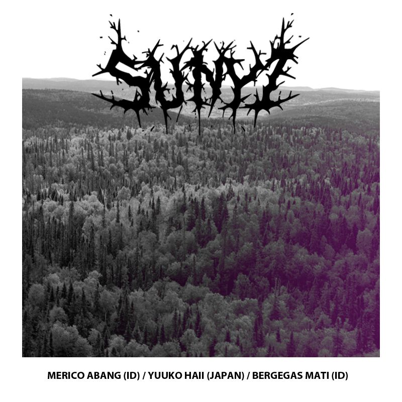 SUNYI - 3 Way Split Album (Indonesian x Japan) COVER_zpse0a47c22