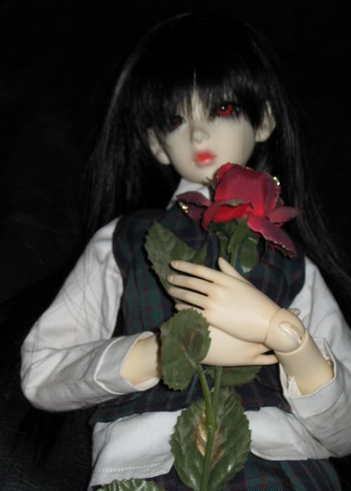 The Rose (Dollmore Chami) 15