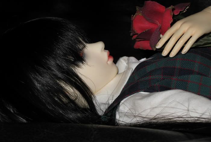 The Rose (Dollmore Chami) 18