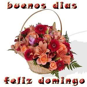 feliz domingo, buenos dias 72qk0ut