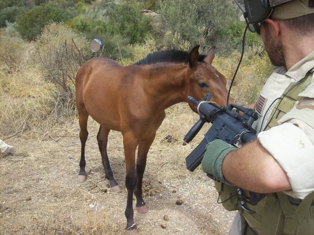 [TRAINING] Comms, patrol, contact drills] August 2013 TRC06