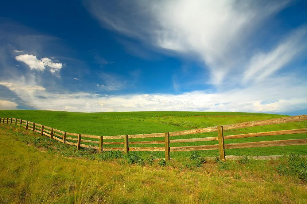 الطبيعة الساحرة - صور جديدة و رائعة وبجودة عالية Landscape2