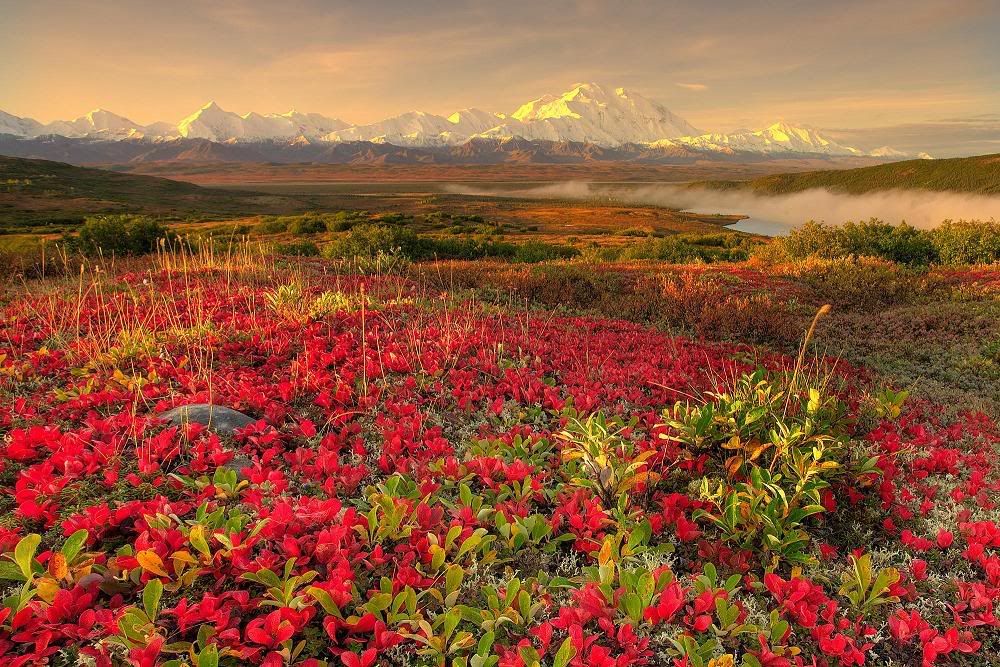 الطبيعة الساحرة - صور جديدة و رائعة وبجودة عالية Landscape3