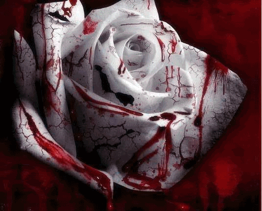 La Rosa Sangrienta Rosa