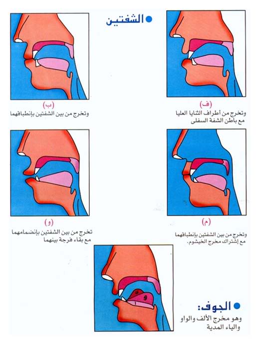 مخارج الحروف العربية _makharej_2