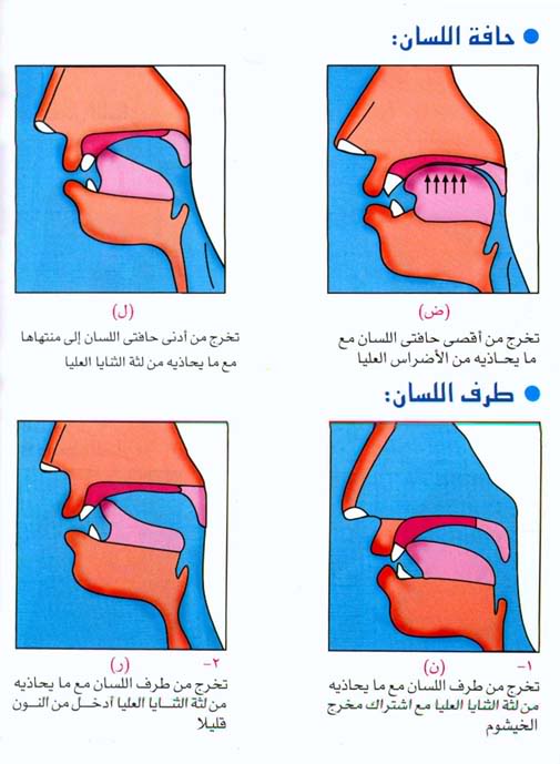 مخارج الحروف ---------- _makharej_3