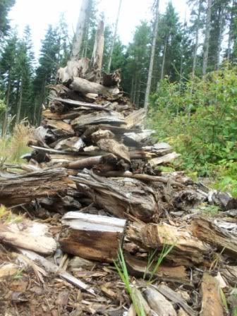 [LandArt] Avec la Nature 100_3151