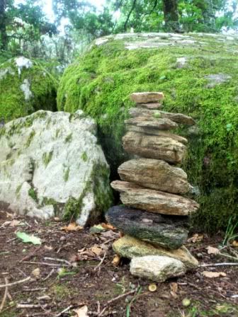 [LandArt] Avec la Nature 100_4065