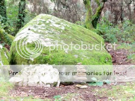 [LandArt] Avec la Nature 100_4066