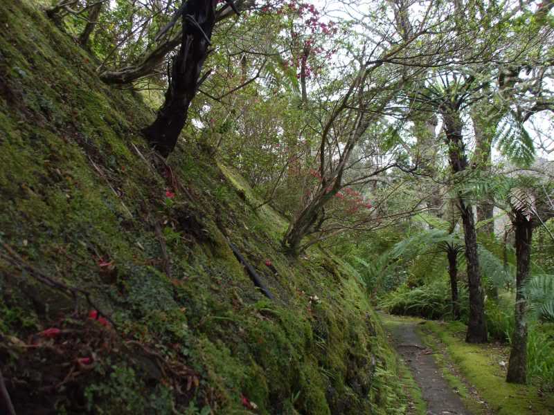 Fotos Açores - Passatempo c/ prenda Açoriana - 1º classificado 481-ParqueTerraNostra-Furnas