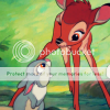 Bambi LC_Bambi_0190