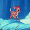 Bambi LC_Bambi_0479