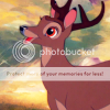 Bambi LC_Bambi_0746