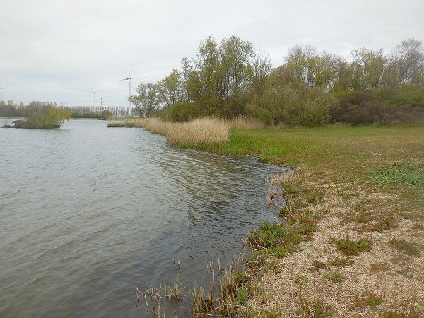 Wandelen.. - Pagina 3 000000%2019_zpsljeg6bnp