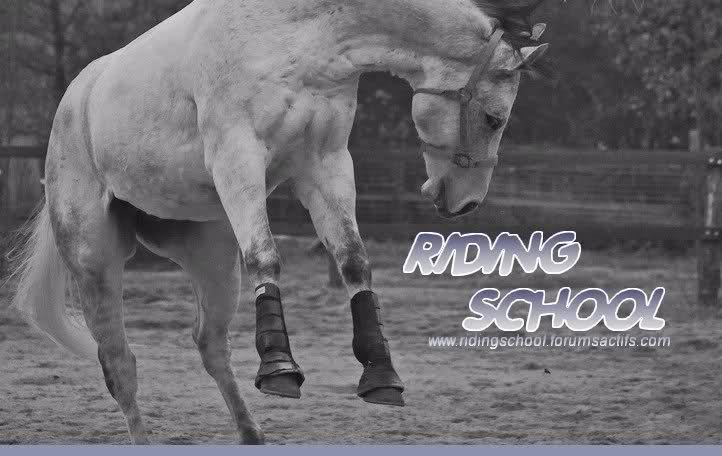 RIDING SCHOOL