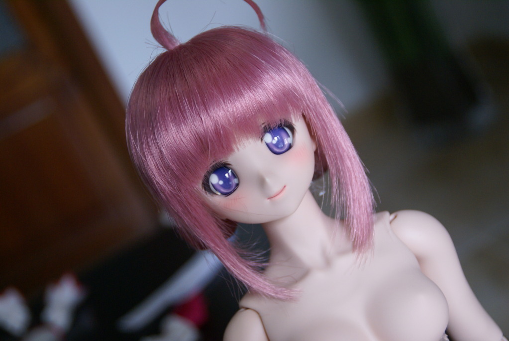 [Review] Dollfie Dream Sister Millhiore F. Biscotti (Volks) DSC07296