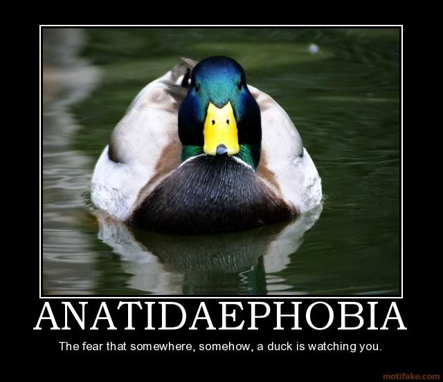 Random Amusing Motivational Posters Anatidaephobia