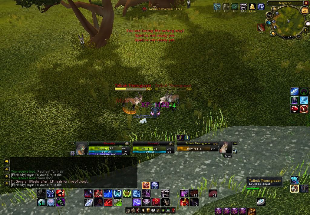 Addon Topic. WoWScrnShot_112508_134034