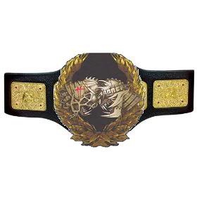 L.W.E.HEAVYWEIGHT CHAMPIONSHIP BELT PICTURE Tagteam