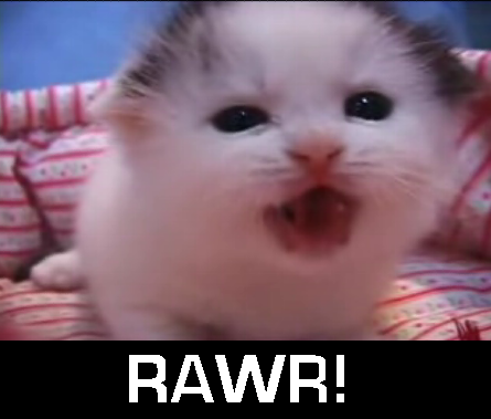 RAWR-wit Friends Rawrr