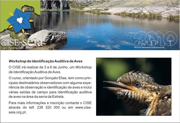 Workshop de Identificação Auditiva de Aves - 3 a 6 de Junho de 2010 Identauditivadeaves