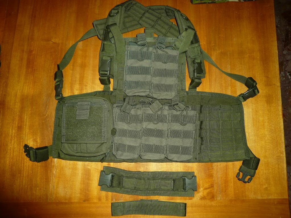 VENDUTO, CHIUDERE - BHI Recon Chest Harness OD, BHI hydrastorm OD P1050356