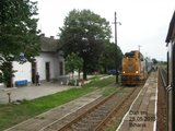 402 : Oradea - Carei - Satu Mare - Halmeu Th_P5281098_zps9b6ce1f6