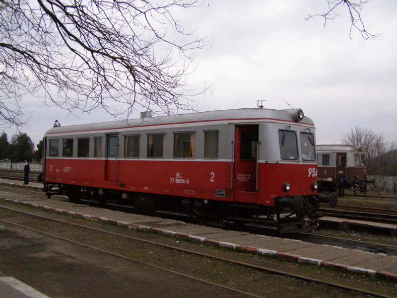 218 : Timisoara Nord - Biled - Lovrin - Cenad P2020304