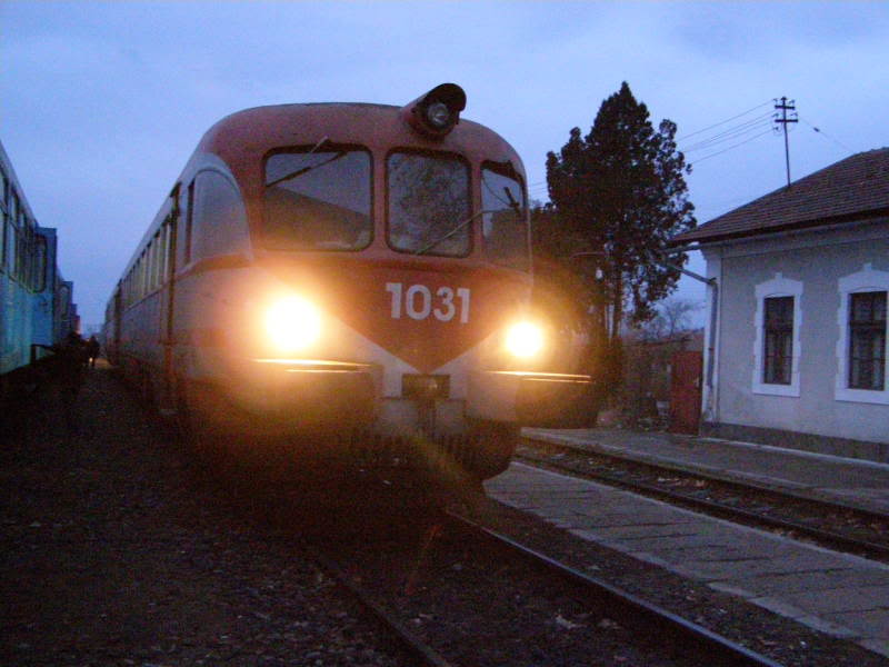 217 : Timisoara Nord - Periam - Lovrin - Nerau P2020354