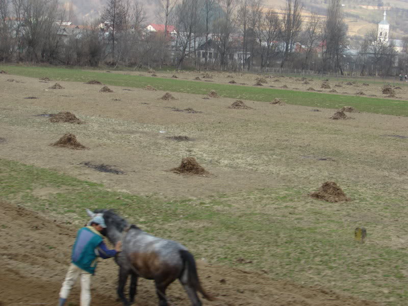 O expeditie Timisoara Nord- Rodna Veche DSC04260