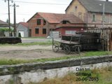 310 : Timisoara Nord - Arad - Oradea - Pagina 8 Th_P5260917_zps70e3f695