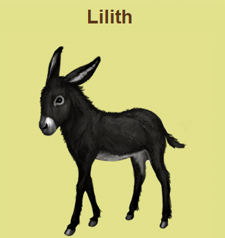 Linky's Horses LilithDonkey