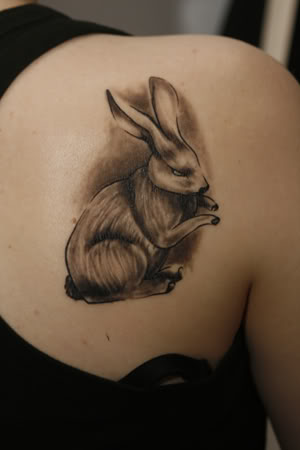 Body modification White_rabbit_anda_3s