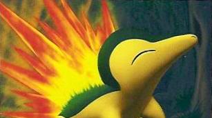 Pokmons de Yuki Cyndaquil