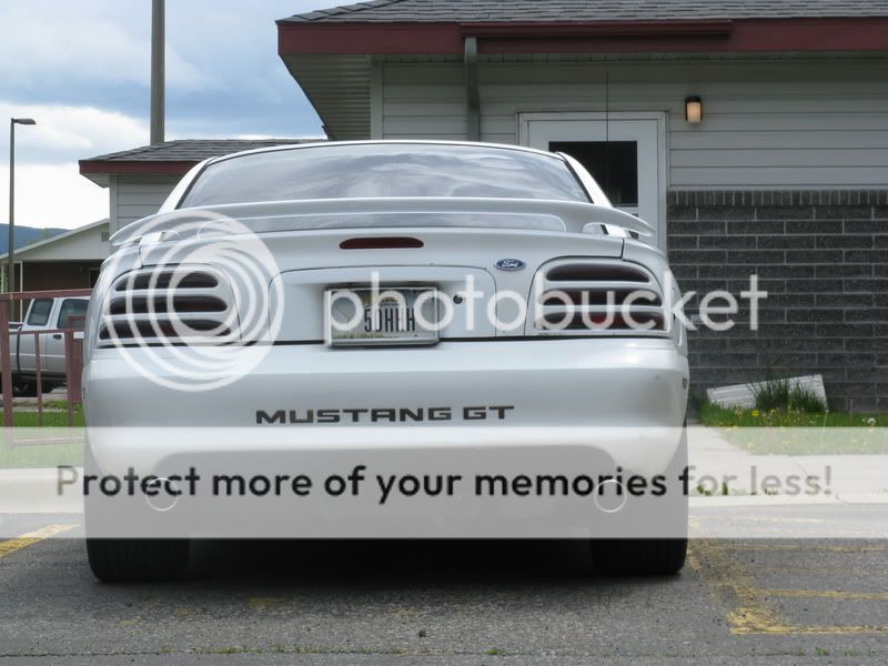 95 Mustang GT pic spamming IMG_1117