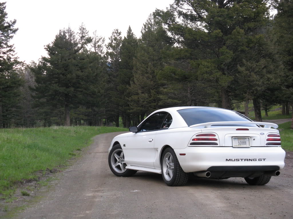 95 Mustang GT pic spamming IMG_1159