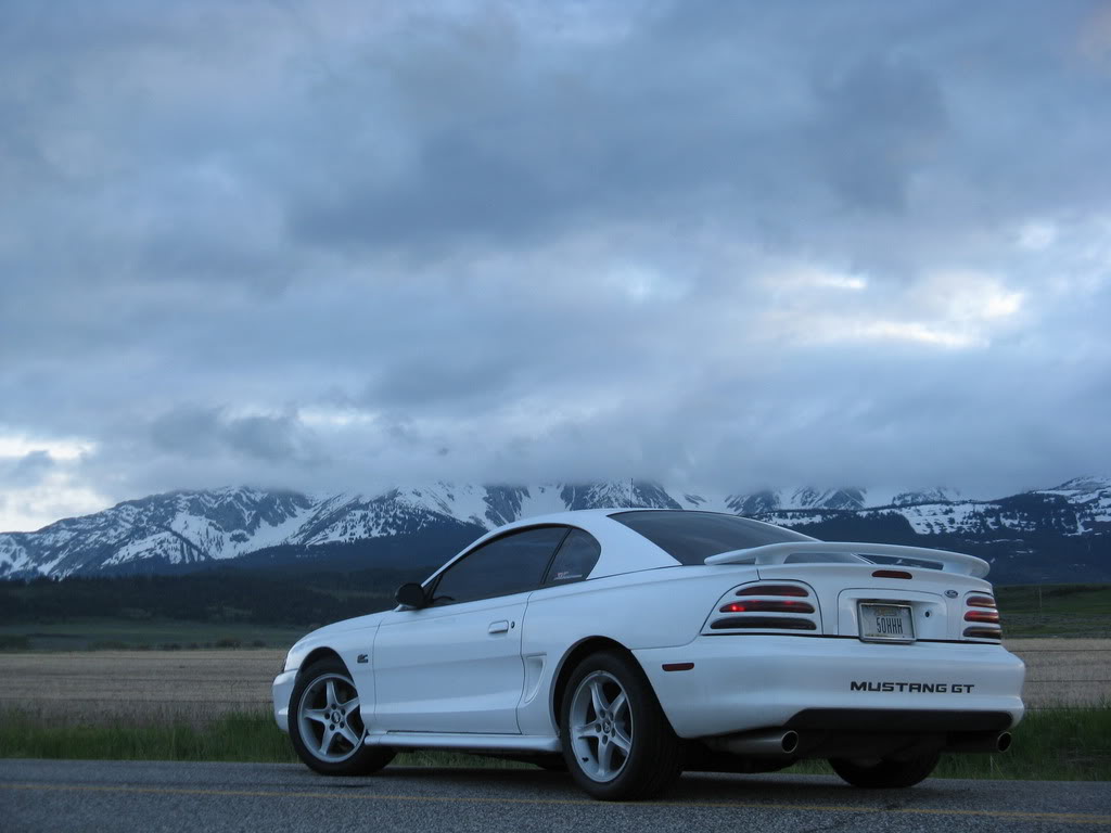 1995 Mustang GT IMG_1170