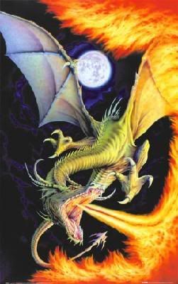 dragons Fire-Dragon