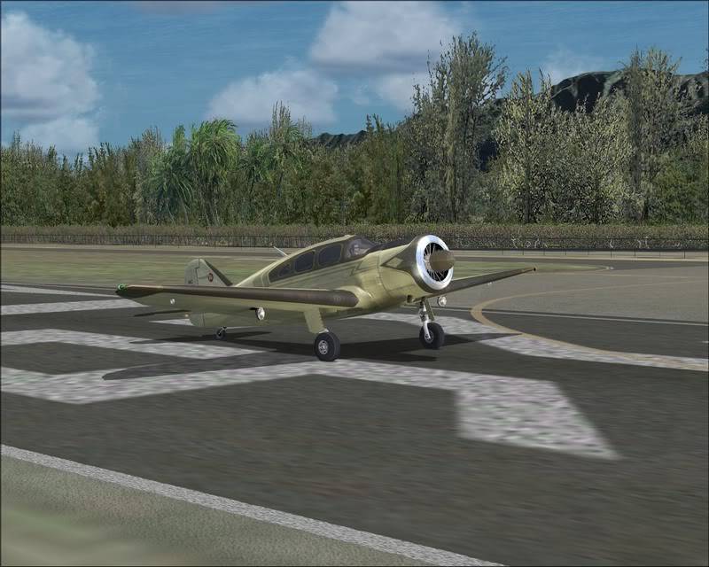 [FSX] Dillingham (Hawaii) Avs_007