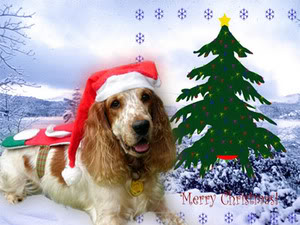 Malaysian Super Cool Christmas Dog Photo Contest SNOWJ1