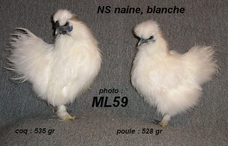 NEGRE SOIE NAINE BLANCHE PC020186