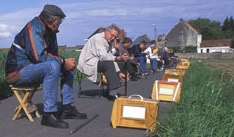 Pinzon en Belgica  Vinkenier