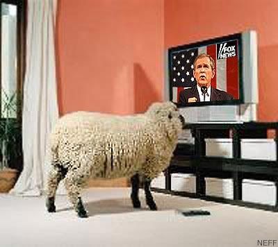 An Introduction to Modern Conspiracies Sheep