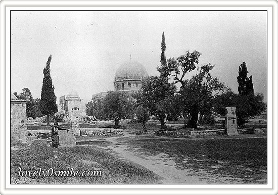           Alquds-07