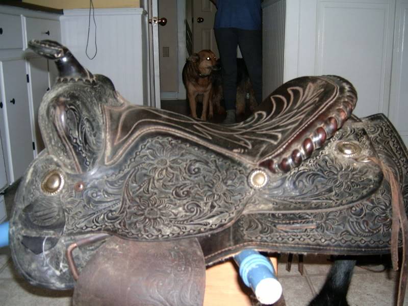 15" Western Saddle for Sale HPIM0744