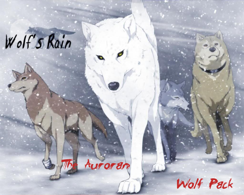 The Auroran Wolf Pack