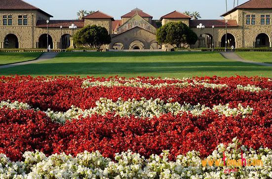         StanfordUniversity2