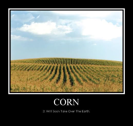 corn Pictures, Images and Photos