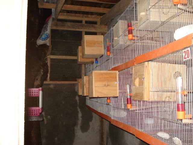 Rizal Marikina Pasig PASOK!!! - Page 6 Veisaviary