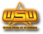 WSW[World Stars of Wrestling] Wswlogosml